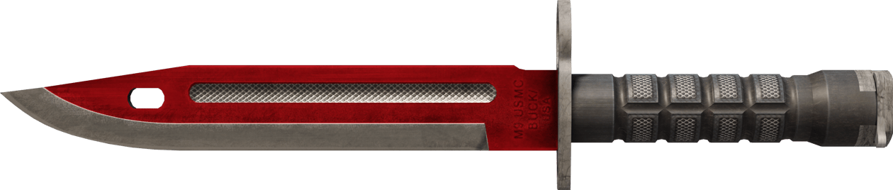 Preview image 2 of ★ Bagnet | Autotronika (po testach bojowych)