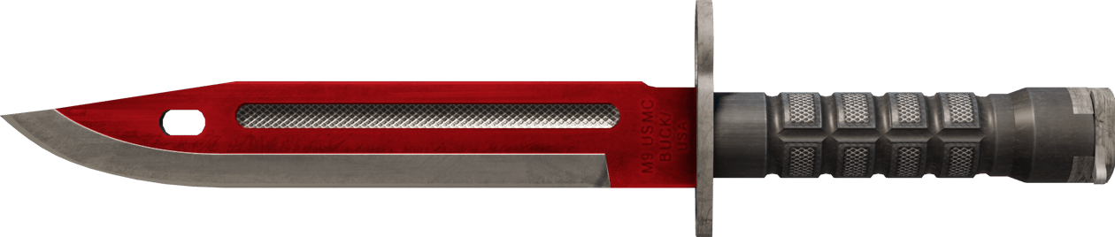 Preview image 2 of ★ Bagnet | Autotronika (lekkie zużycie)