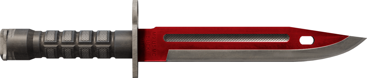 Preview image 1 of ★ Bagnet | Autotronika (lekkie zużycie)