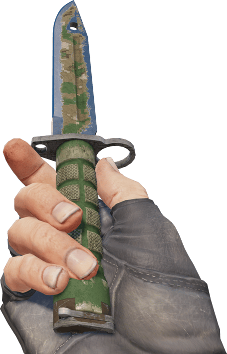 Preview image 3 of ★ Bayonet | Forest DDPAT (Battle-Scarred)