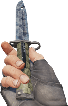 Preview image 3 of ★ Bayonet | Stained (Battle-Scarred)