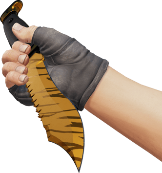 Preview image 3 of ★ Faca Bowie | Tiger Tooth (Com Pouco Uso)