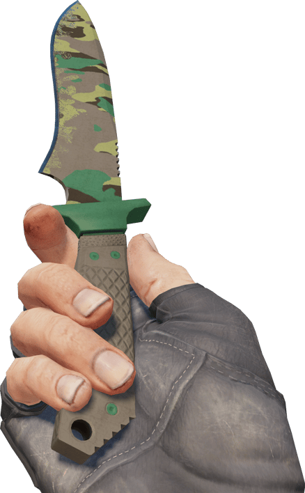 Preview image 3 of ★ Classic Knife | Boreal Forest (Field-Tested)