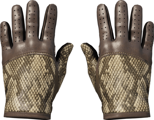 ★ Driver Gloves | Diamondback (Field-Tested)
