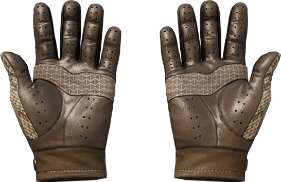 Preview image 2 of ★ Driver Gloves | Diamondback (Minimal Wear)