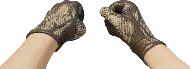 Preview image 3 of ★ Driver Gloves | Diamondback (Minimal Wear)