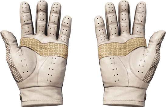Preview image 2 of ★ Driver Gloves | King Snake (Factory New)