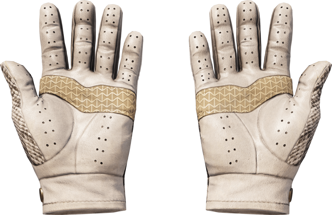 Preview image 2 of ★ Driver Gloves | King Snake (Factory New)
