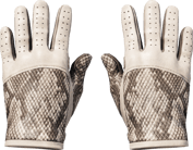 Driver Gloves | King Snake image