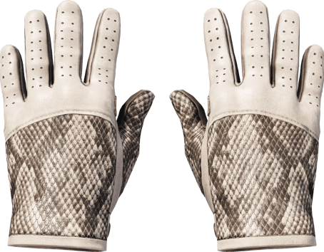 ★ Driver Gloves | King Snake (Factory New)