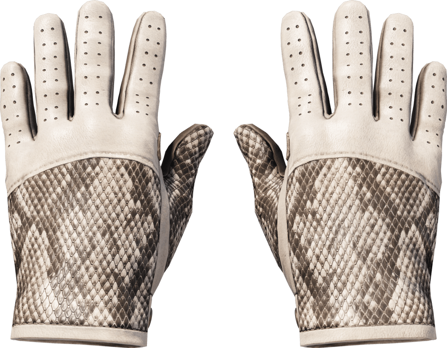 Preview image 1 of ★ Driver Gloves | King Snake (Factory New)