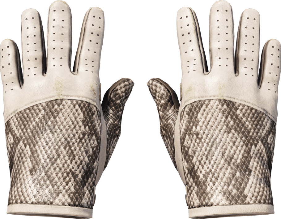 Preview image 1 of ★ 駕駛手套 | 王蛇 (戰場實測)