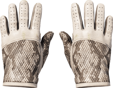 ★ Gants de pilote | Serpent royal (Testée sur le terrain)