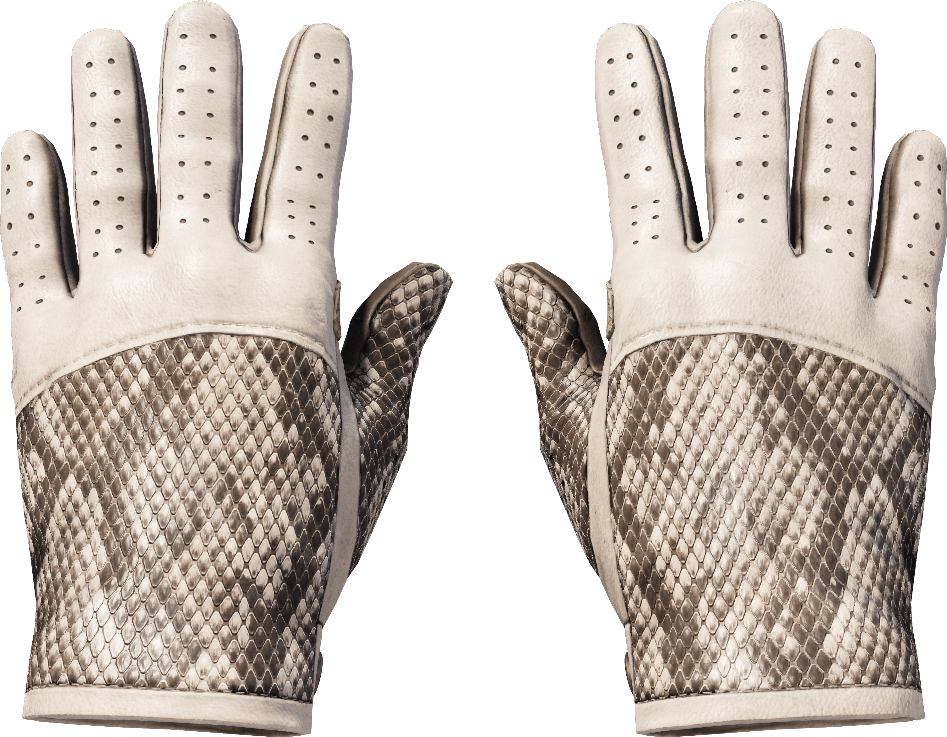 ★ Driver Gloves | King Snake (新品同様)