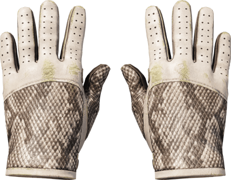 ★ Driver Gloves | King Snake (Well-Worn)