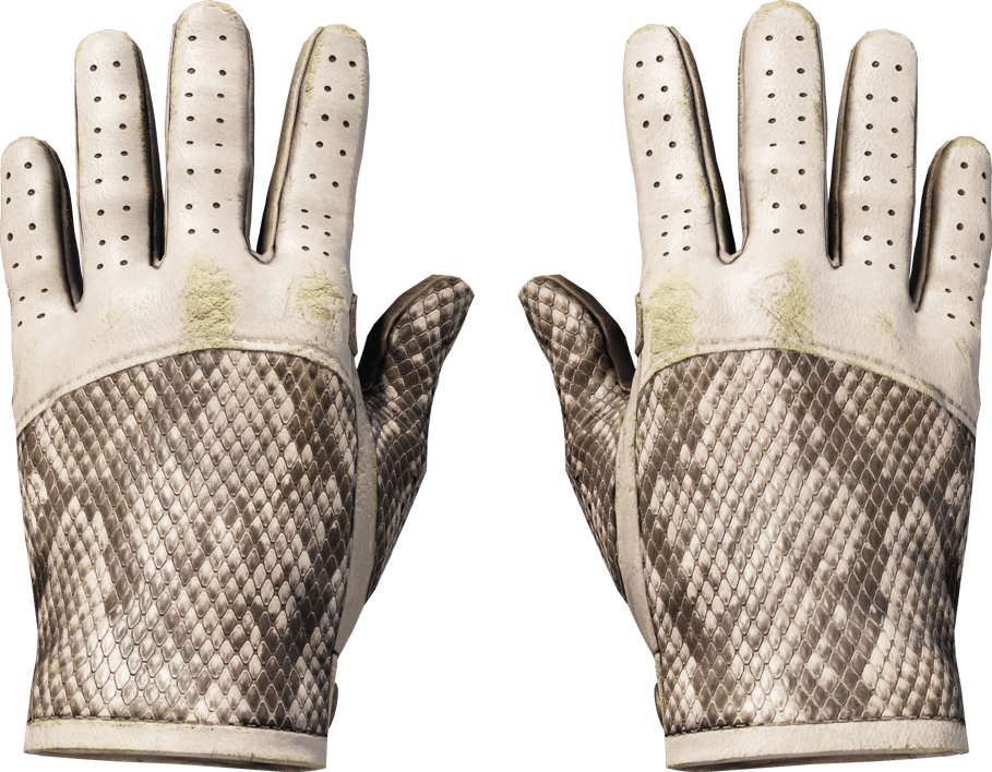 Preview image 1 of ★ Driver Gloves | King Snake (Well-Worn)