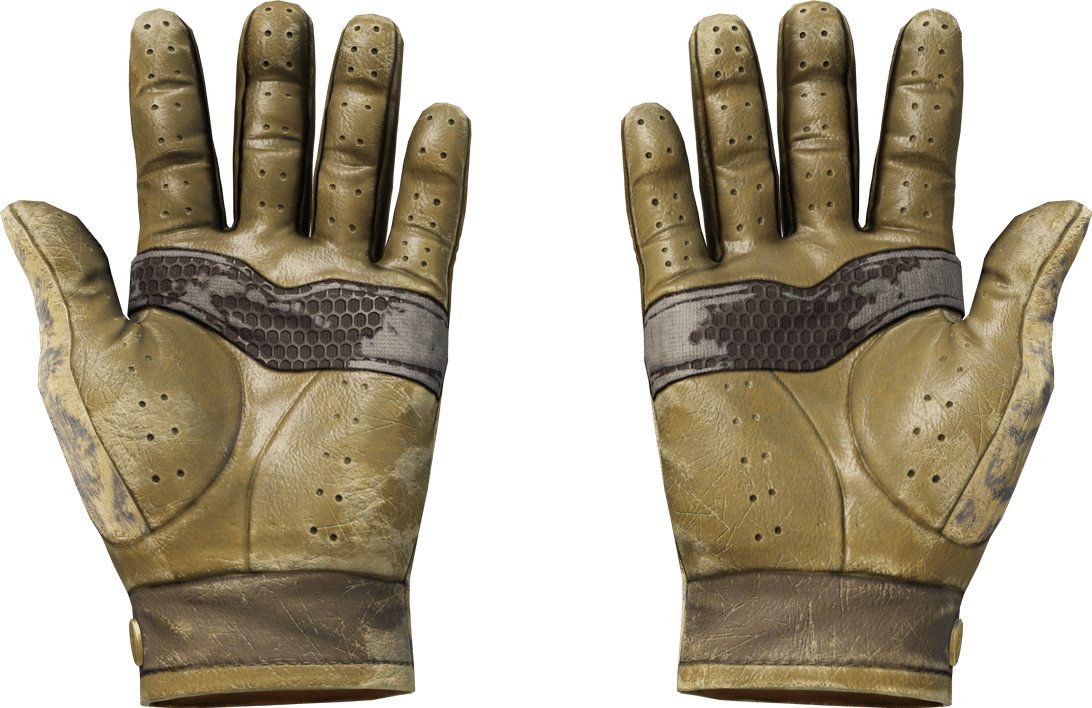 Preview image 2 of ★ Driver Gloves | Queen Jaguar (戦いで傷ついた)