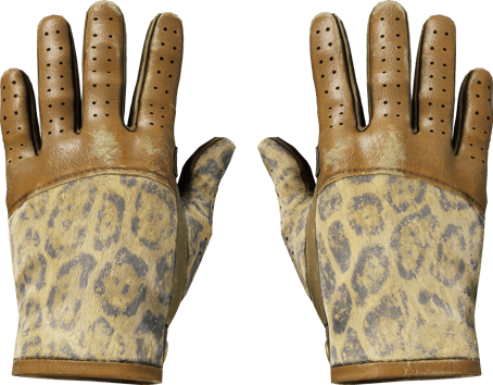 ★ Driver Gloves | Queen Jaguar (戦いで傷ついた)