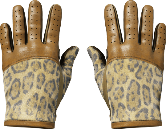 ★ 운전용 장갑 | 여왕 재규어 (현장에서 쓰인)