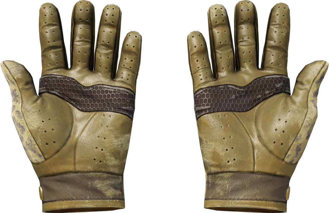 Preview image 2 of ★ ถุงมือขับรถ | Queen Jaguar (มีรอยถลอกอย่างมาก)