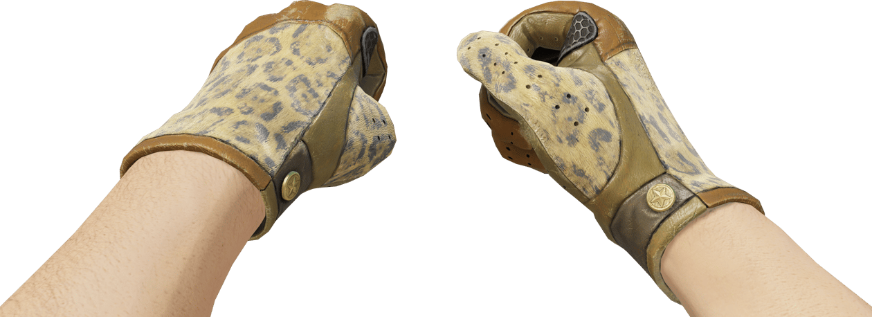 Preview image 3 of ★ ถุงมือขับรถ | Queen Jaguar (มีรอยถลอกอย่างมาก)