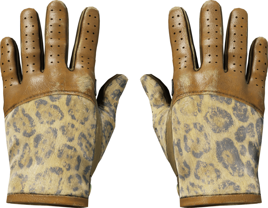 Preview image 1 of ★ ถุงมือขับรถ | Queen Jaguar (มีรอยถลอกอย่างมาก)