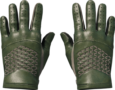 ★ Luvas de Condutor | Racing Green (Testado no Terreno)