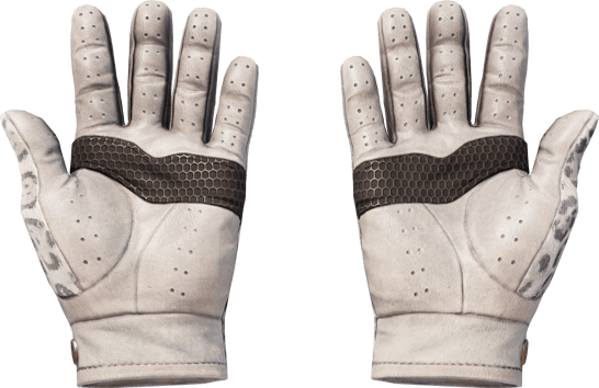 Preview image 2 of ★ Driver Gloves | Snow Leopard (Factory New)