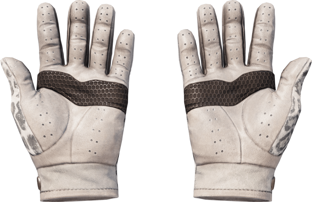 Preview image 2 of ★ 駕駛手套 | 雪豹 (輕微磨損)