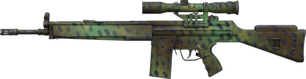 G3SG1 | 열대림의 흔적 (현장에서 쓰인)