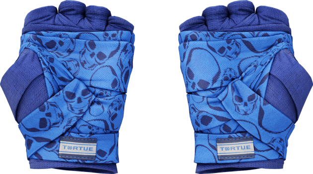 Preview image 2 of ★ Hand Wraps | Cobalt Skulls (Factory New)