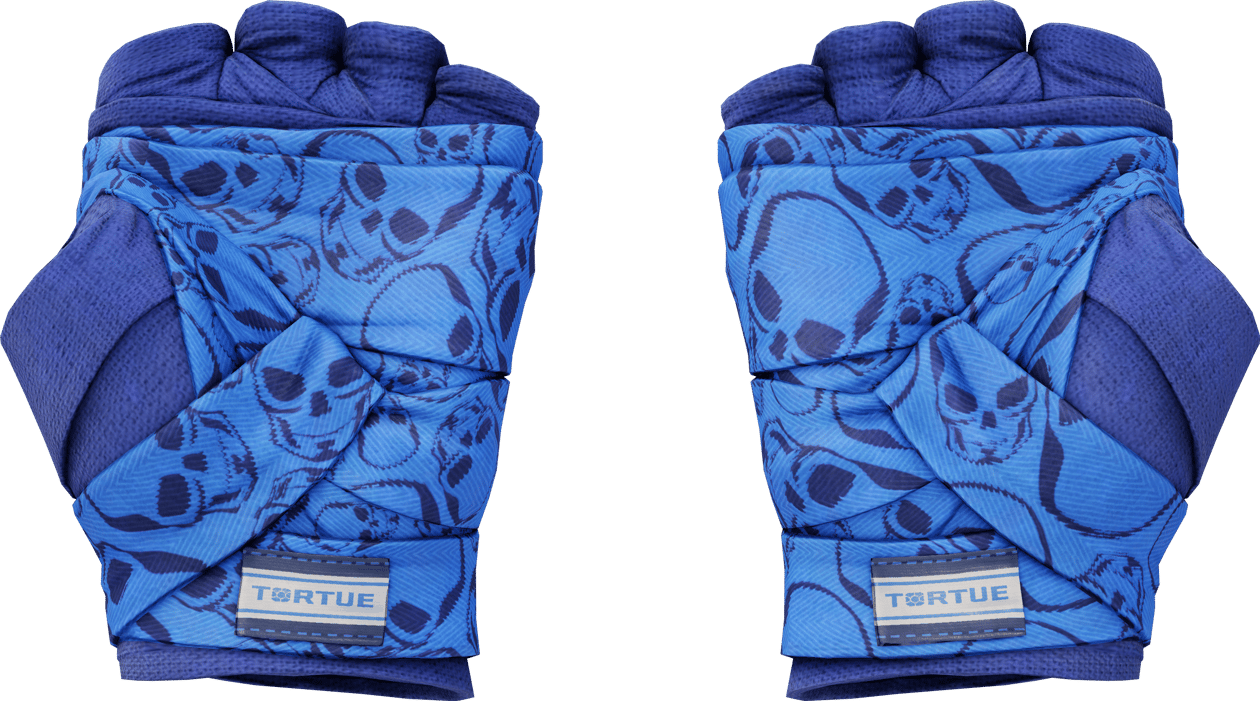 Preview image 2 of ★ Hand Wraps | Cobalt Skulls (Factory New)