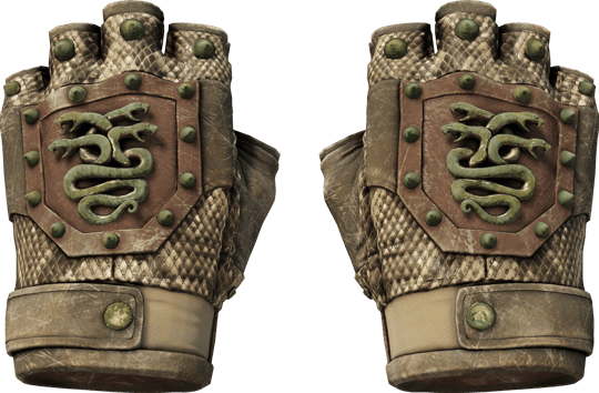 ★ Hydra Gloves | Rattler (Battle-Scarred)