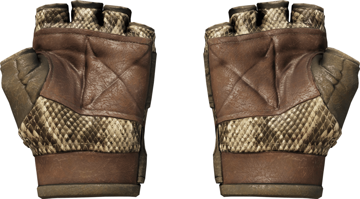 Preview image 2 of ★ Hydra Gloves | Rattler (Field-Tested)