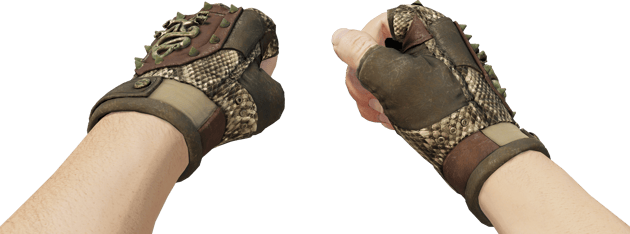 Preview image 3 of ★ Hydra Gloves | Rattler (Field-Tested)