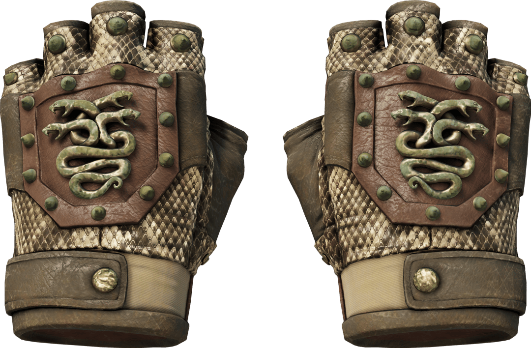 Preview image 1 of ★ Hydra Gloves | Rattler (Field-Tested)