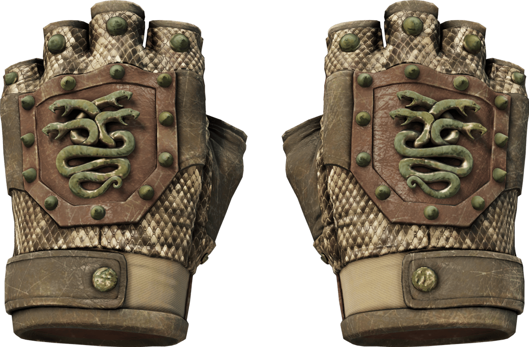 Preview image 1 of ★ Hydra Gloves | Rattler (Well-Worn)