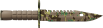 Boreal Forest