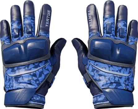 ★ 摩托手套 | 多边形 (久经沙场)