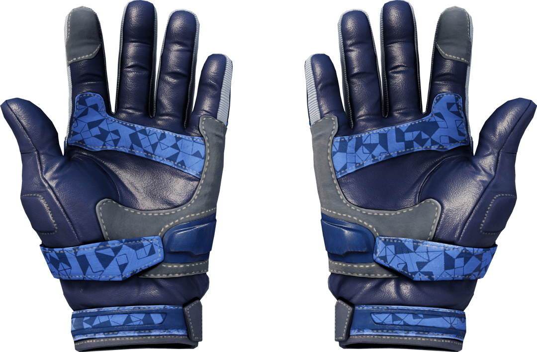Preview image 2 of ★ Moto Gloves | Polygon (Minimal Wear)