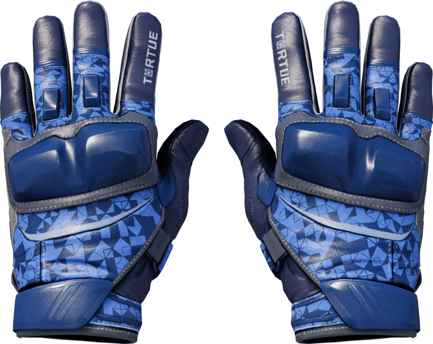 Preview image 1 of ★ Moto Gloves | Polygon (Minimal Wear)