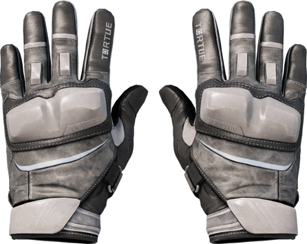 ★ Gants de moto | Pleins gaz (Testée sur le terrain)