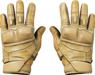 Moto Gloves | Transport