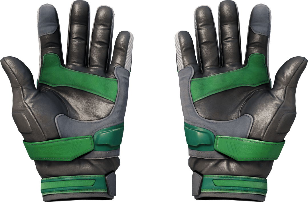 Preview image 2 of ★ Luvas de Motociclista | Turtle (Com Pouco Uso)