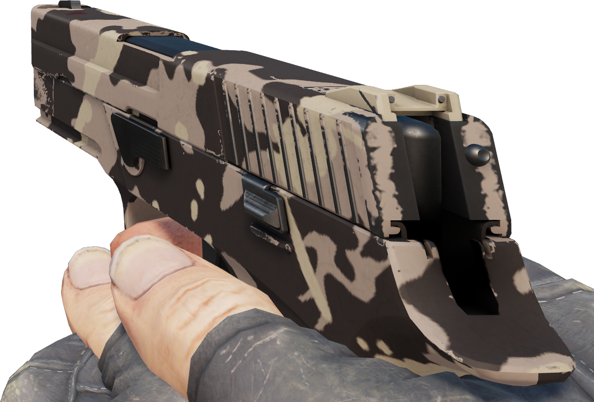 Preview image 4 of P250 | Noir et beige (Très peu usée)