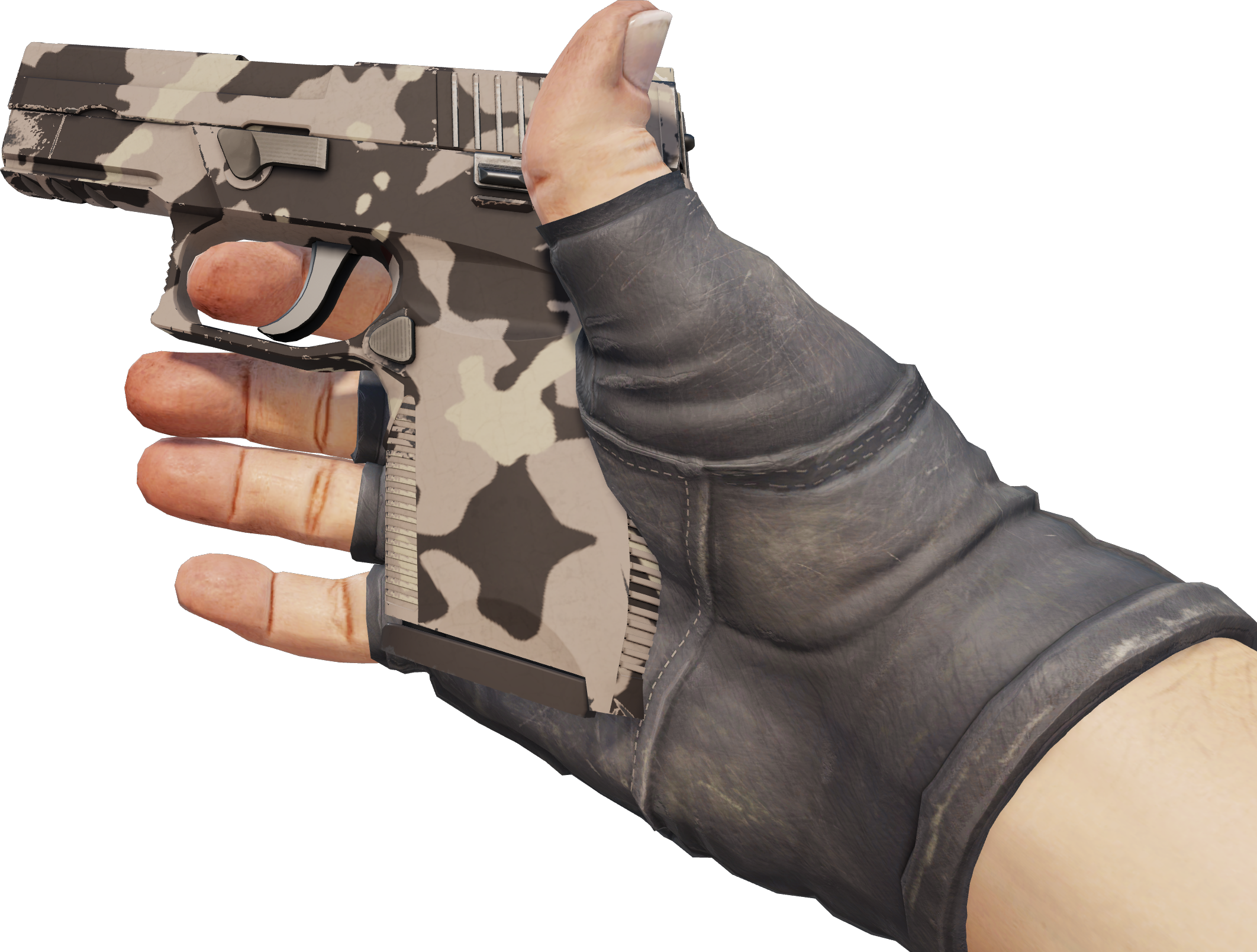 Preview image 3 of P250 | Noir et beige (Très peu usée)