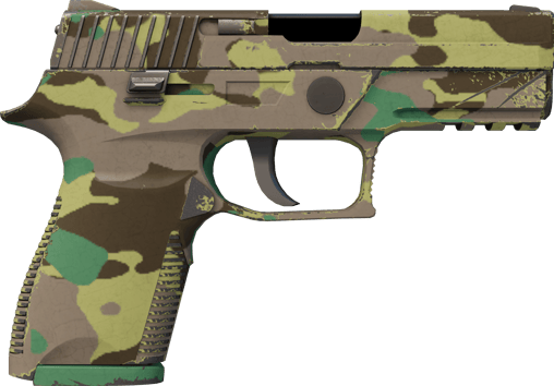 Preview image 2 of P250 | Kuzey Ormanı (Görevde Kullanılmış)