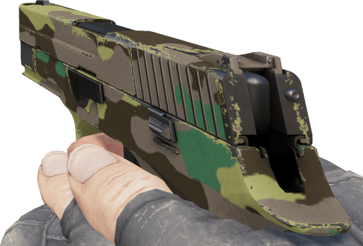 Preview image 3 of P250 | Kuzey Ormanı (Görevde Kullanılmış)