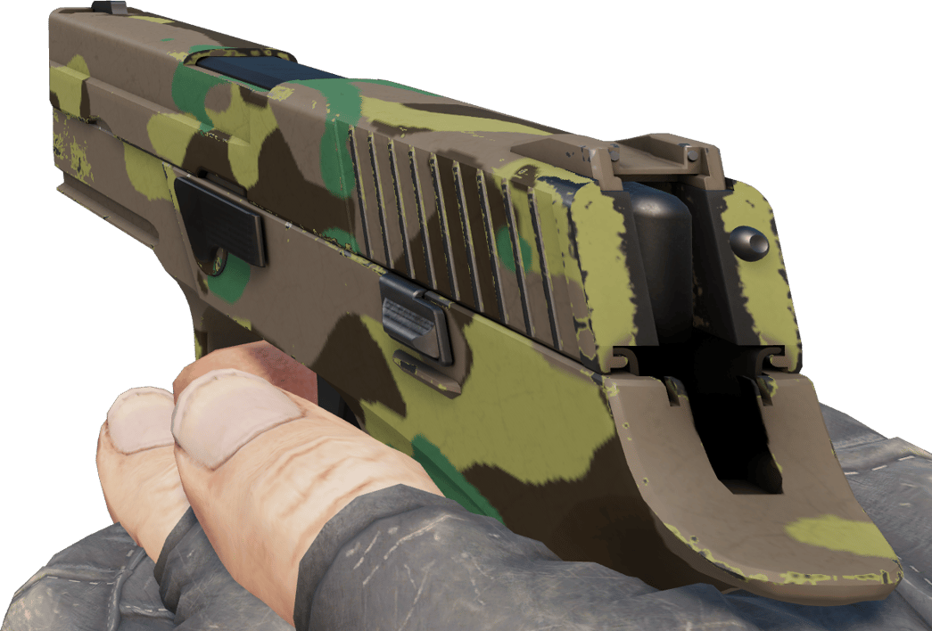 Preview image 3 of P250 | Pohjoismetsä (Vähän käytetty)