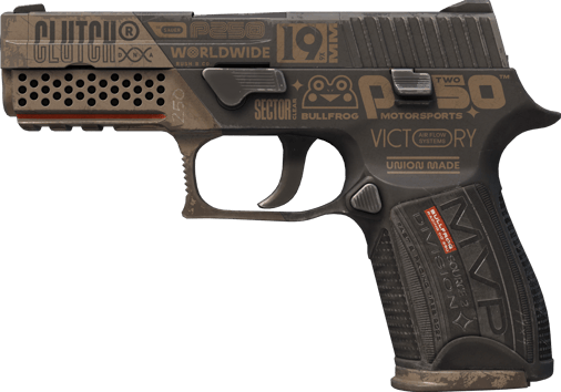 P250 | Bullfrog (Battle-Scarred)